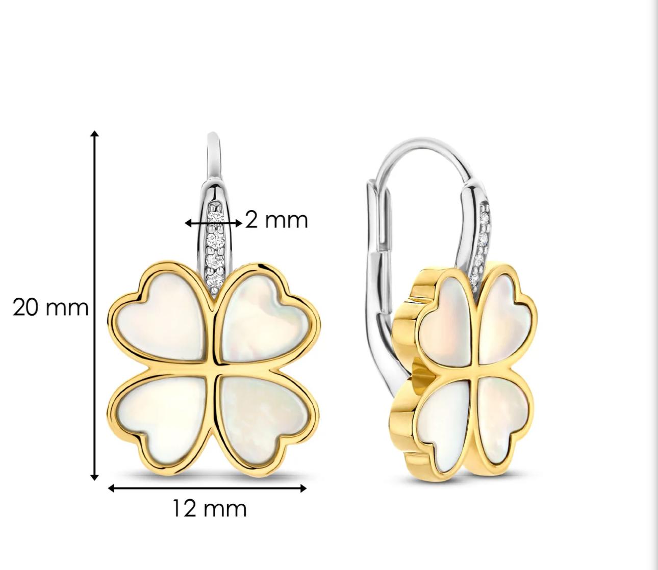 Ti sento minđuše 78005mw