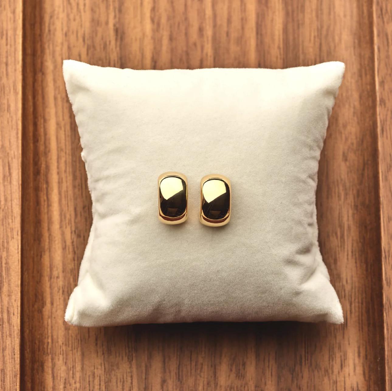 Ti sento minđuše 78048sy